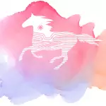 Centreline Saddlery